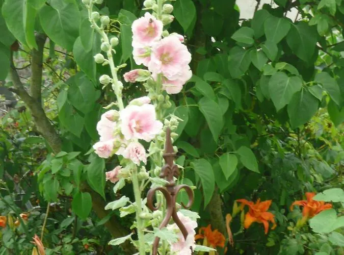 Nocleg ze śniadaniem Les Lilas De Bellefontaine 4*