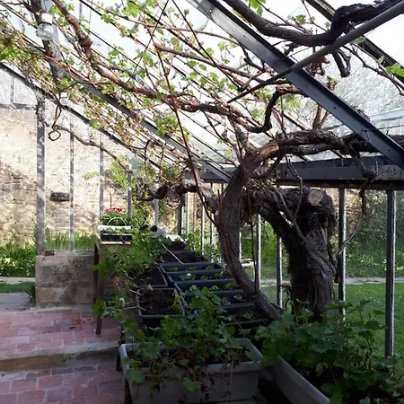 Les Lilas De Bellefontaine 4*