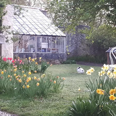 Les Lilas De Bellefontaine Bed & Breakfast