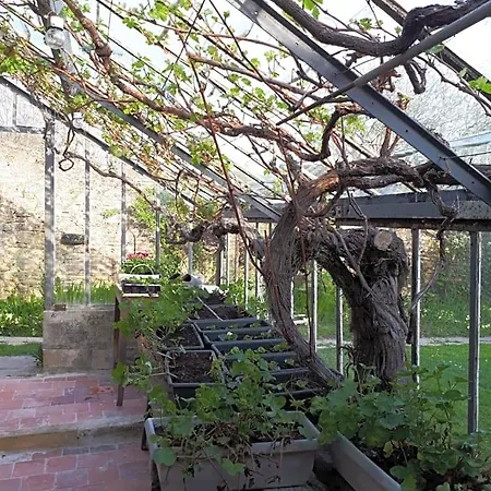 Bed and breakfast Les Lilas De Bellefontaine