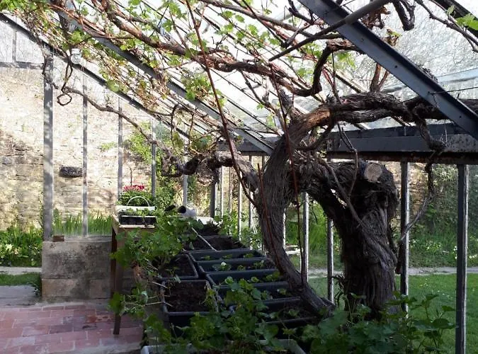 贝尔方丹丁香住宿加早餐旅馆 4*